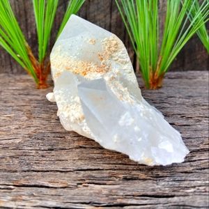 Meet your Posher, Charlie